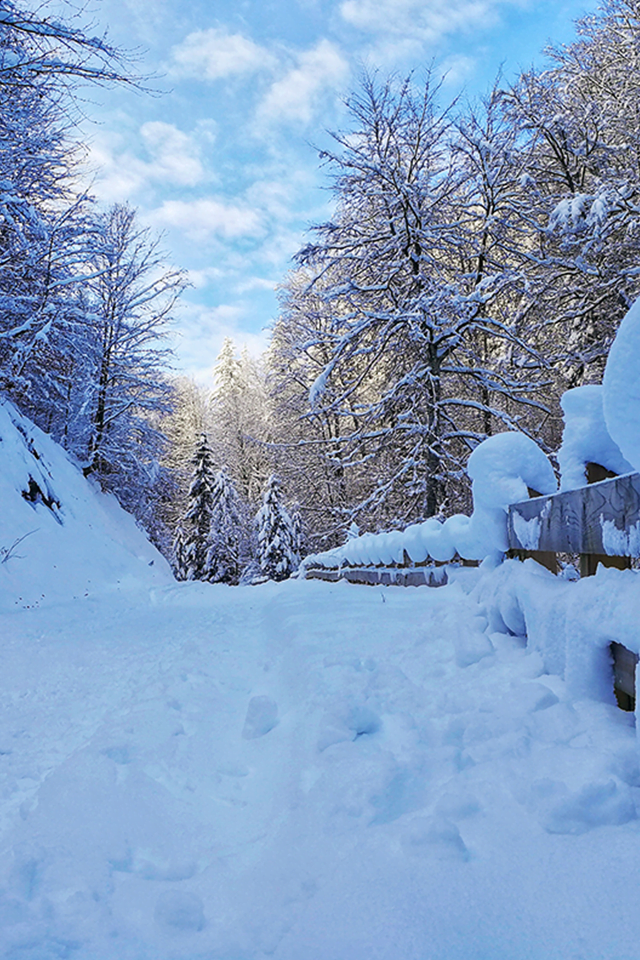 slider-image-003