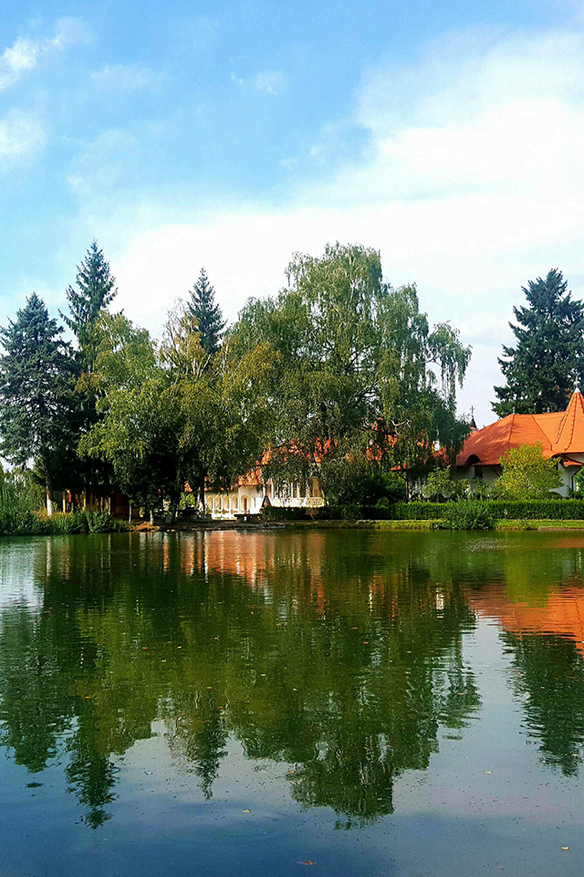 slider-image-010